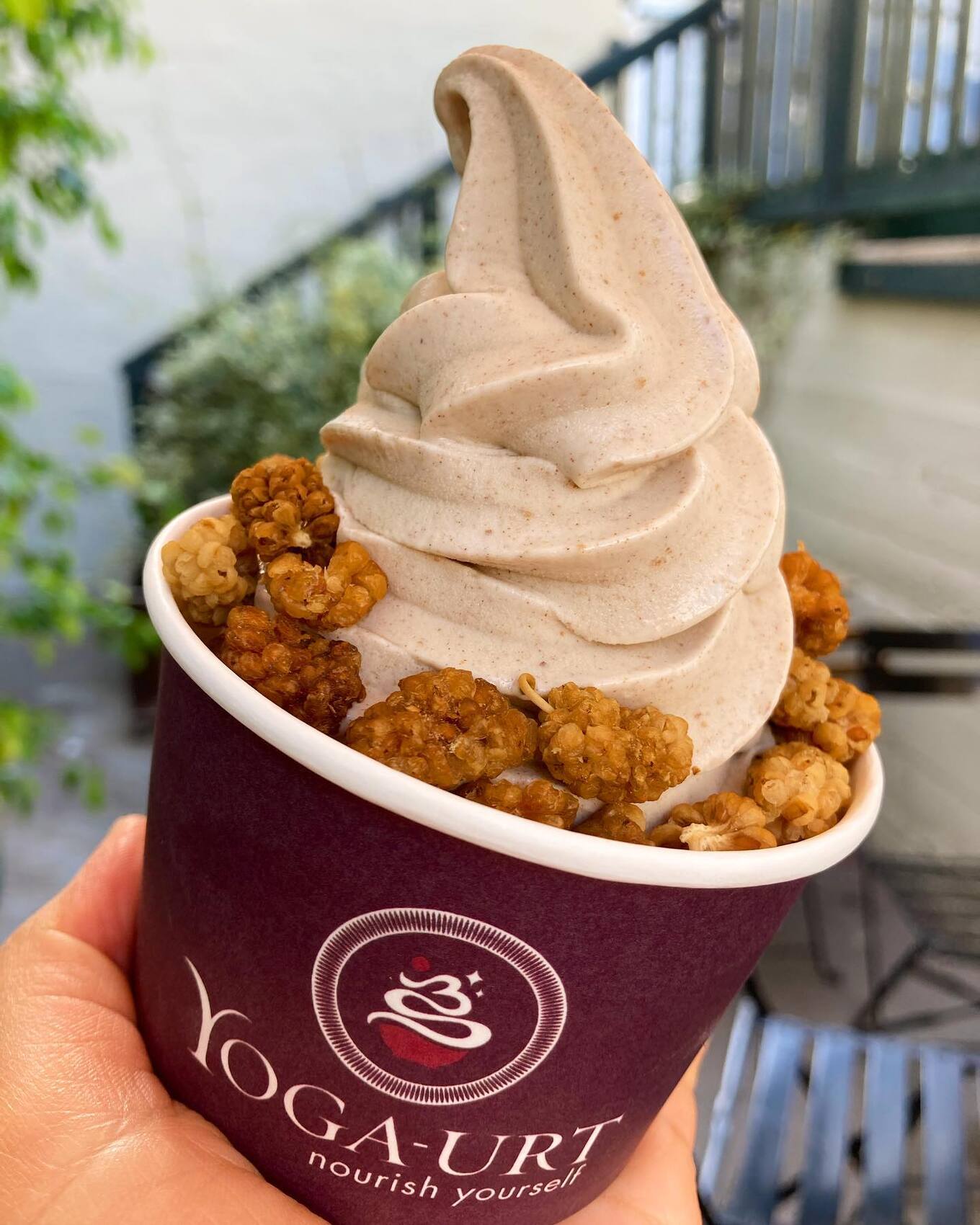 true tahini yoga-urt